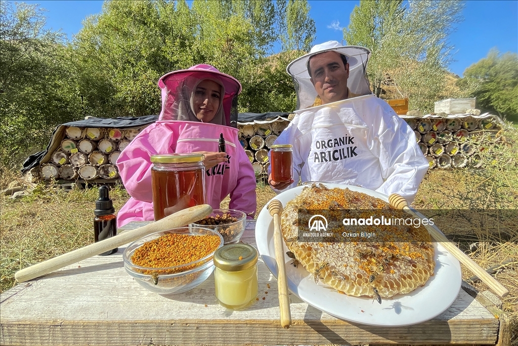 Jinên cilpembe li zozana raqim 2 hezar û 800î dest bi vekirina kewarên hingiv kirin