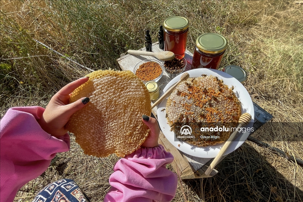 Jinên cilpembe li zozana raqim 2 hezar û 800î dest bi vekirina kewarên hingiv kirin
