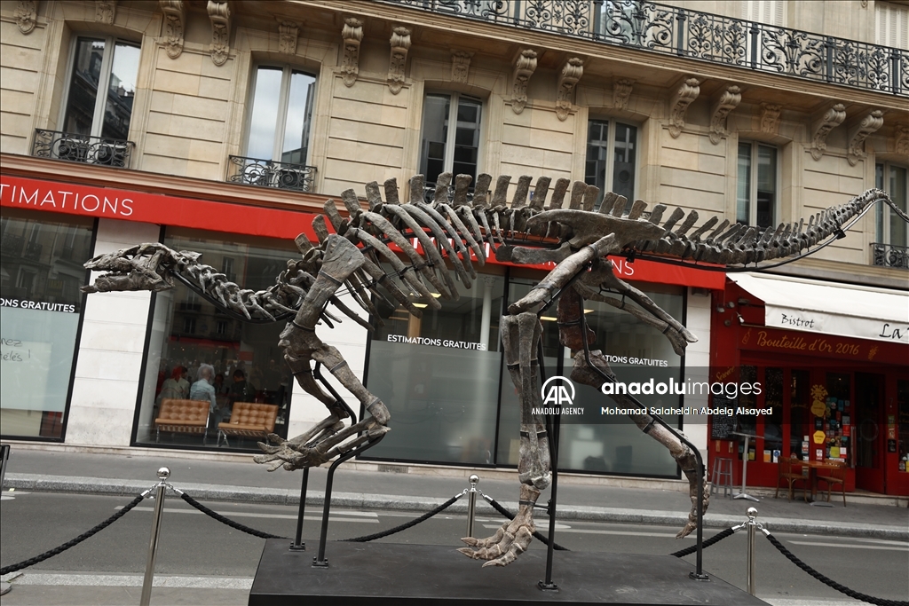 Paris : Un squelette de dinosaure vieux de 150 millions d'années sera vendu aux enchères le 20 octobre prochain