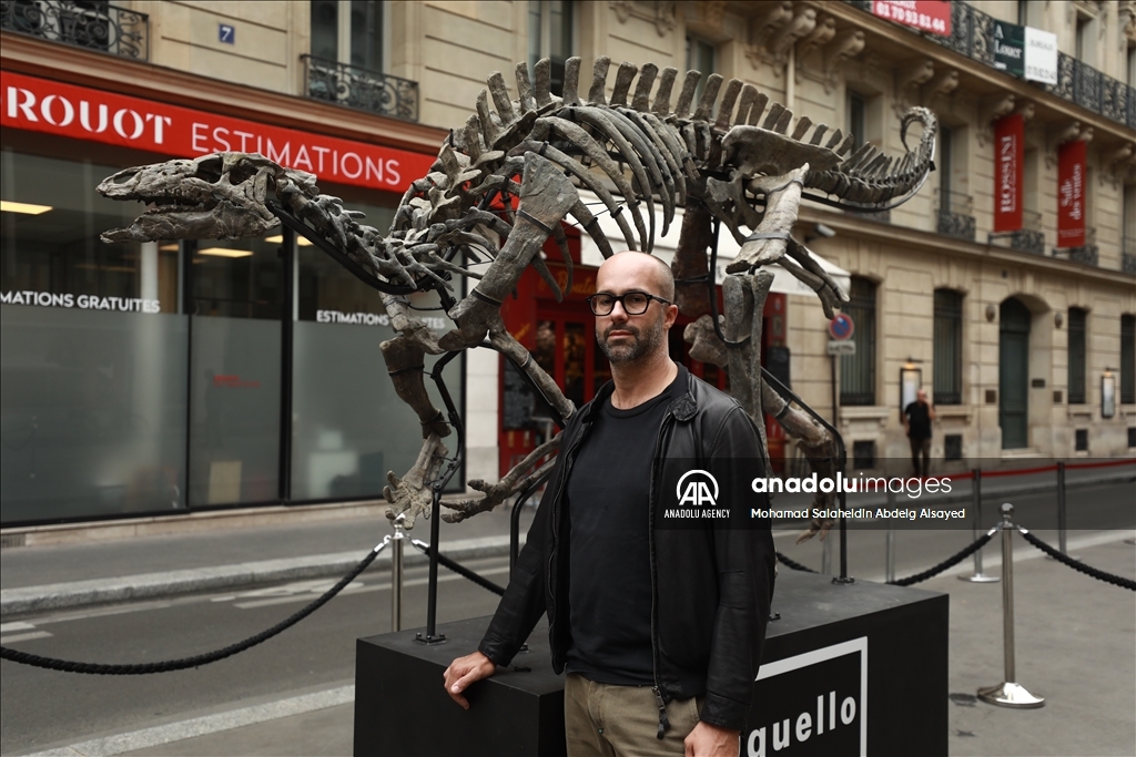 Paris : Un squelette de dinosaure vieux de 150 millions d'années sera vendu aux enchères le 20 octobre prochain