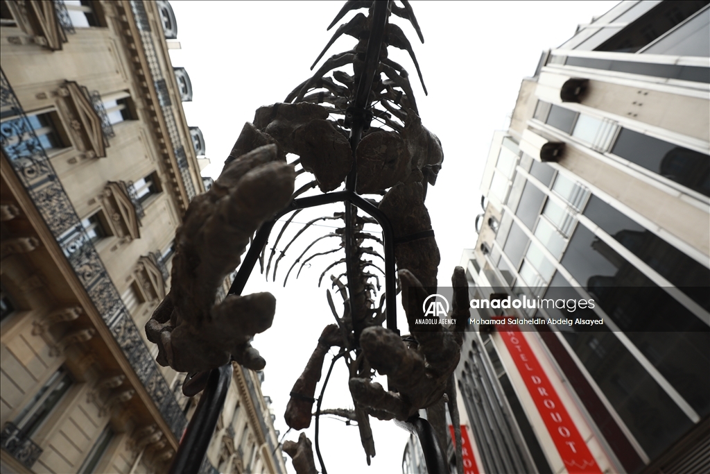 Paris : Un squelette de dinosaure vieux de 150 millions d'années sera vendu aux enchères le 20 octobre prochain