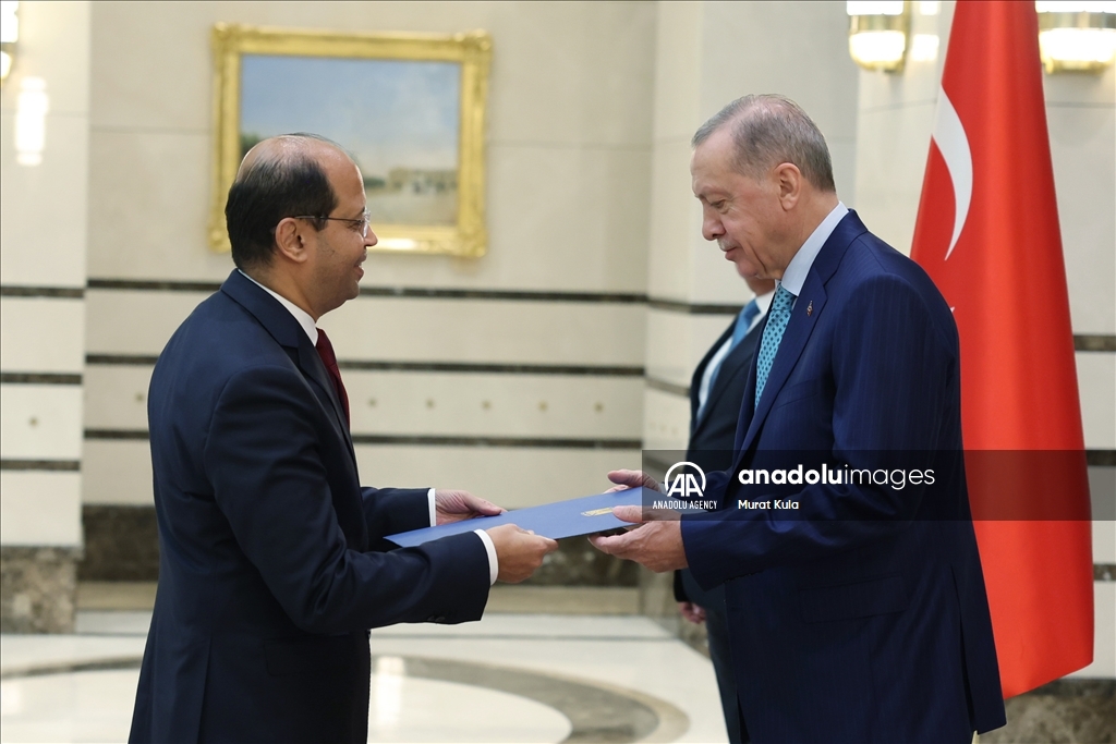 الرئيس أردوغان يتسلم أوراق اعتماد السفير المصري