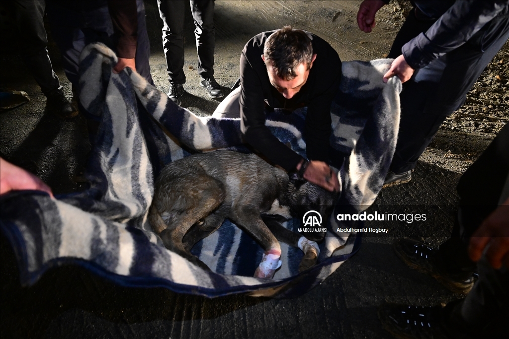 Arnavutköy'de su basan iki atölyede mahsur kalan işçiler kurtarıldı