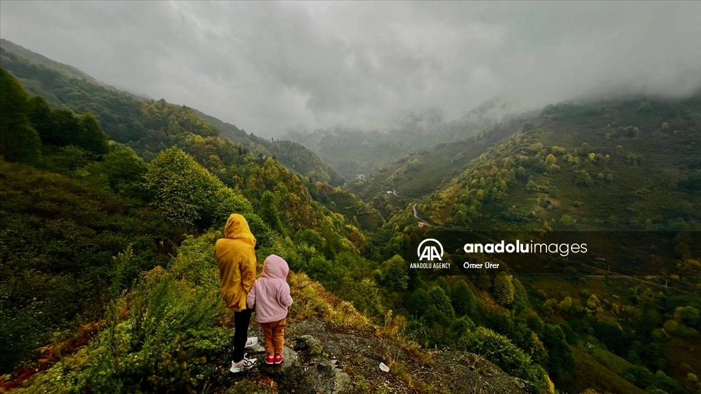 Осень раскрасила яркими красками лесные массивы турецкой провинции Дюздже