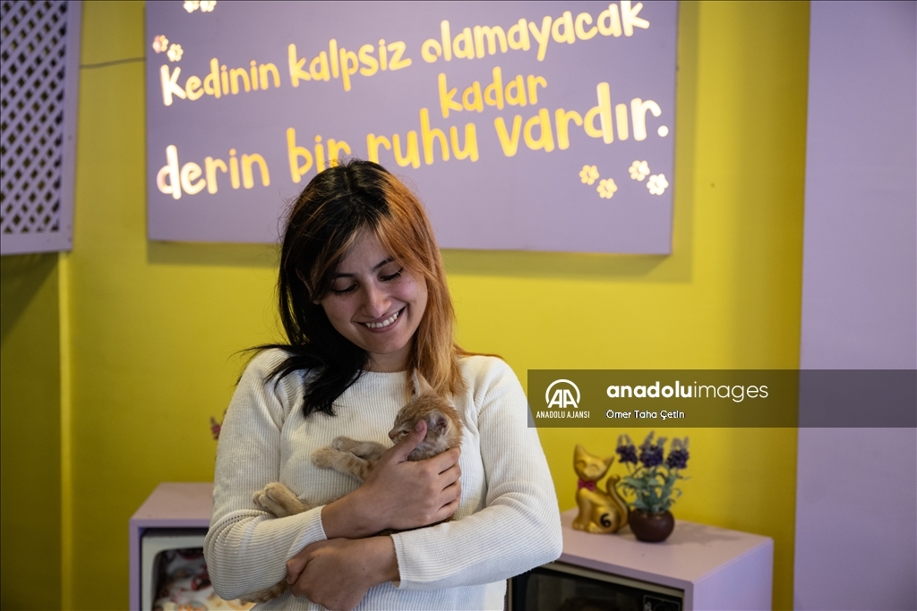 Ankara'nın ilk "kedi" konseptli kafesine müşterilerden yoğun ilgi