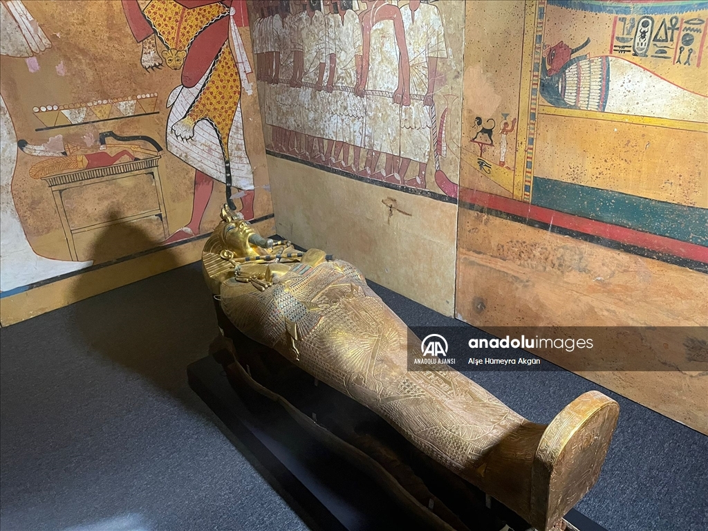"Gizemli Firavun TutAnkhAmun'un Hazineleri" İstanbul Akvaryum'da açıldı