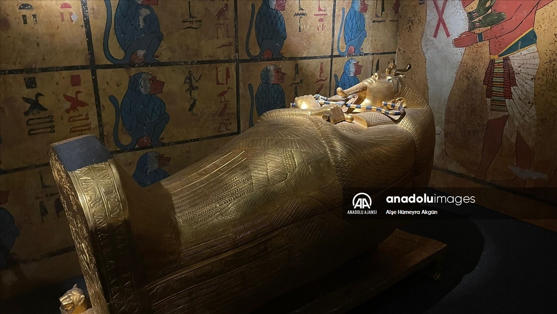 "Gizemli Firavun Tutankhamun'un Hazineleri" İstanbul Akvaryum'da açıldı