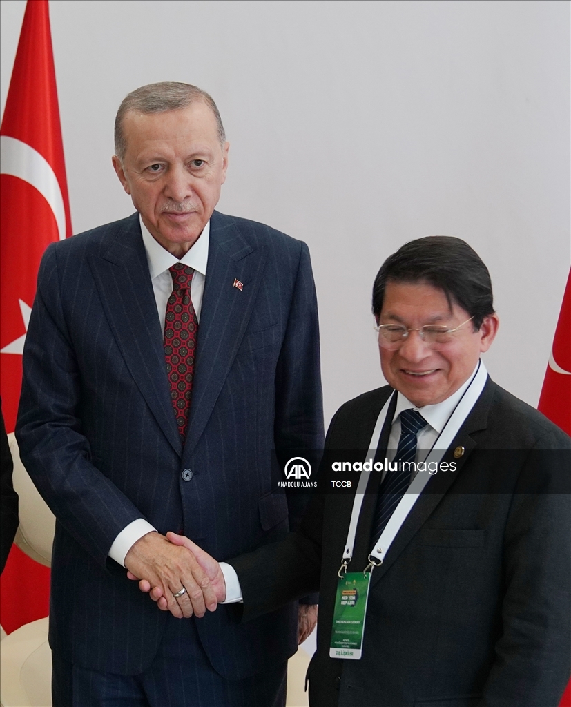 Cumhurbaşkanı Erdoğan, Nikaragua Dışişleri Bakanı Colindres'i kabul etti