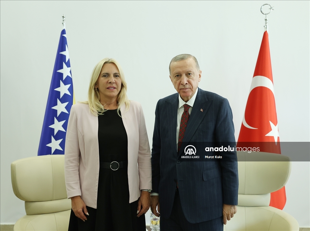 Cumhurbaşkanı Recep Tayyip Erdoğan'ın kabulleri