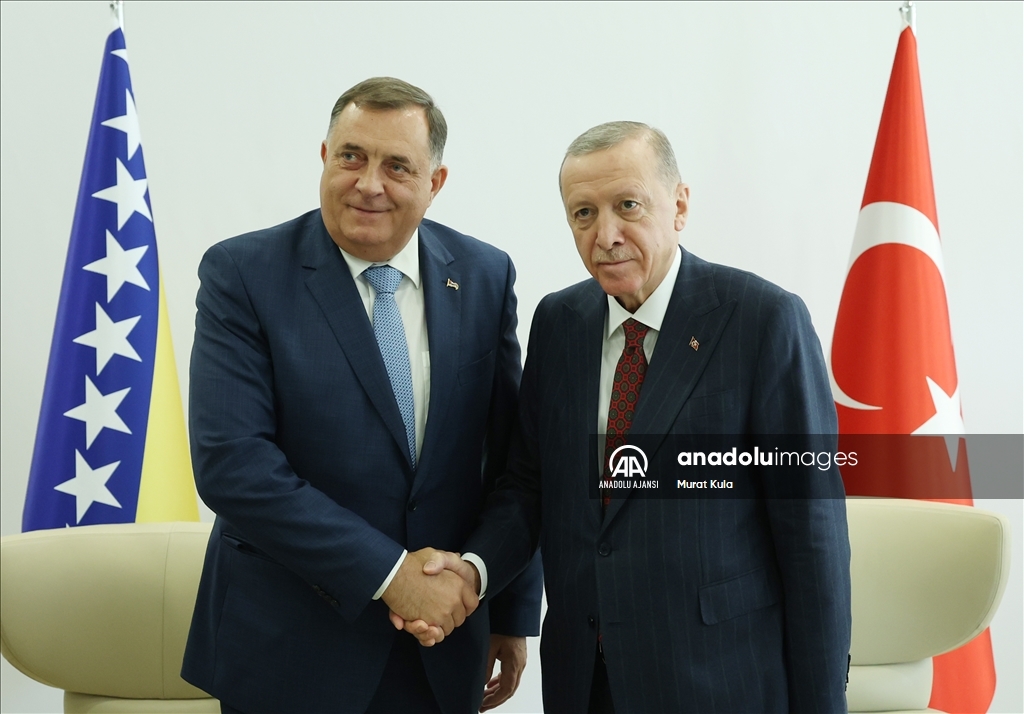Cumhurbaşkanı Recep Tayyip Erdoğan'ın kabulleri