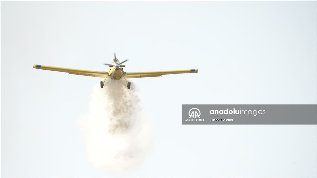 Arjantin'in orta kesiminde etkili olan orman yangını yerleşim alanlarına sıçradı