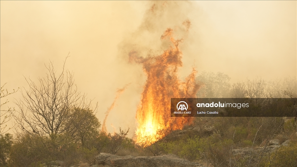 Arjantin'in orta kesiminde etkili olan orman yangını yerleşim alanlarına sıçradı