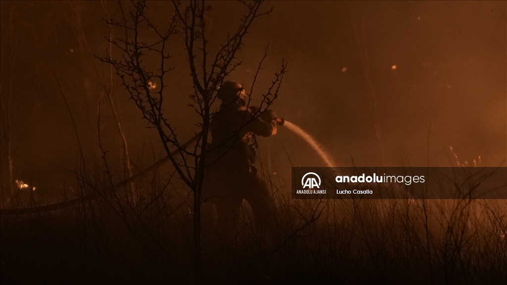 Arjantin'in orta kesiminde etkili olan orman yangını yerleşim alanlarına sıçradı