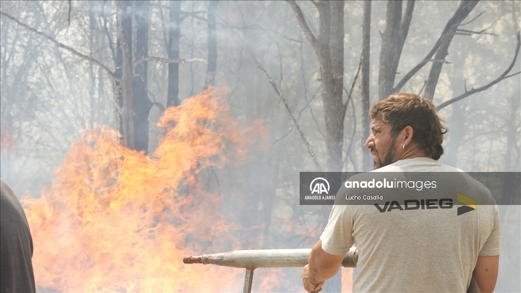 Arjantin'in orta kesiminde etkili olan orman yangını yerleşim alanlarına sıçradı