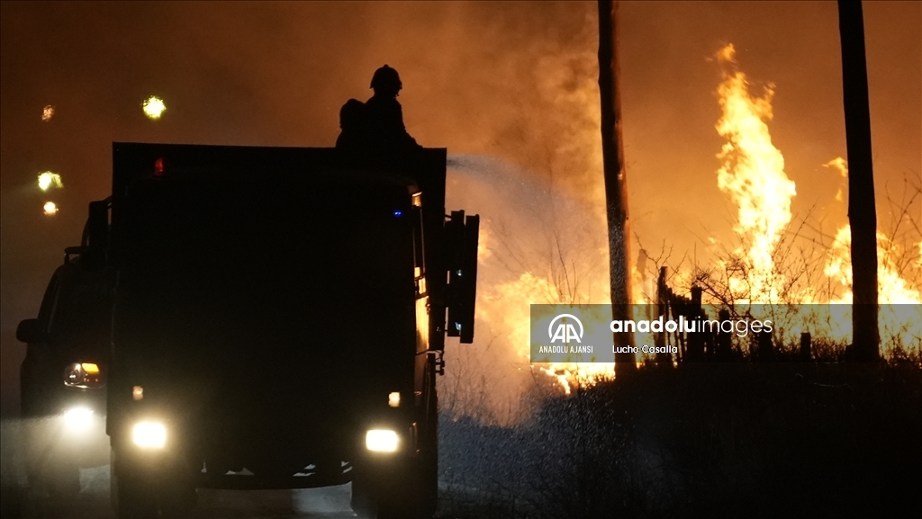 Arjantin'in orta kesiminde etkili olan orman yangını yerleşim alanlarına sıçradı