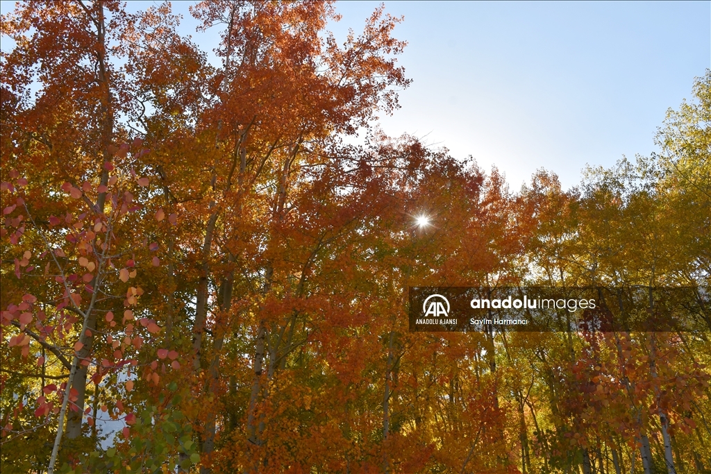 Hakkari'nin Konak köyü sonbaharla ayrı bir güzelliğe büründü