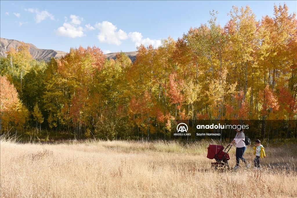Hakkari'nin Konak köyü sonbaharla ayrı bir güzelliğe büründü