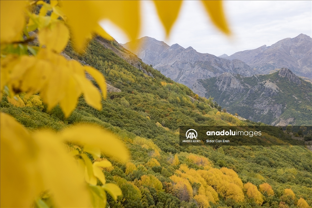 Daristanên Tunceliyê bi rengên payîzê xemilîn