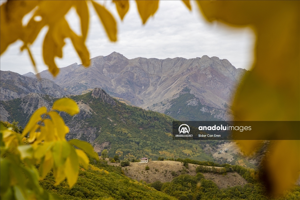 Daristanên Tunceliyê bi rengên payîzê xemilîn