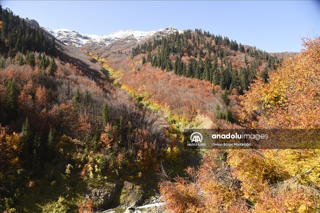 Artvin'de Cumhuriyet'in 100'üncü yılı dolayısıyla foto cip safarisi düzenlendi