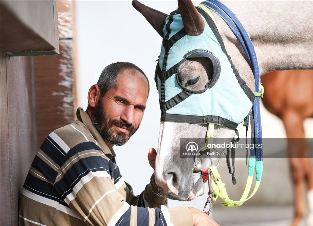 Bursa Osmangazi Hipodromu'nda boy gösteren atlar 7/24 açık hastanede tedavi ediliyor