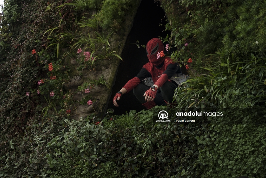 Arjantin'de 'Örümcek Adam' kostümü giyen çok sayıda kişi dünya rekoru için toplandı