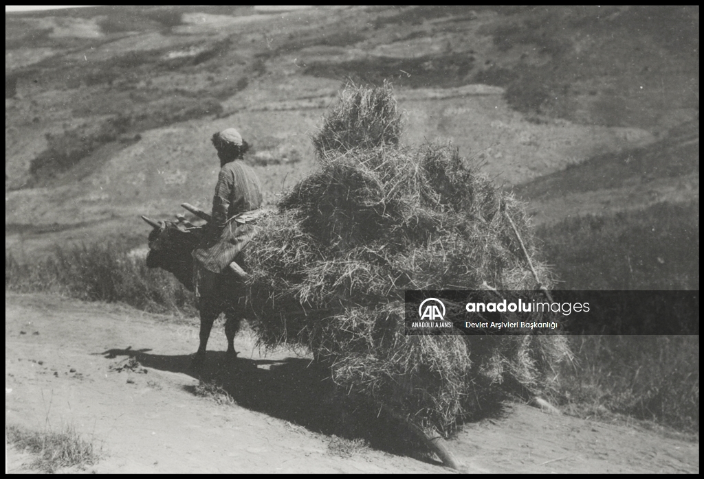 Türk boylarının 111 yıllık fotoğrafları Devlet Arşivleri'nde