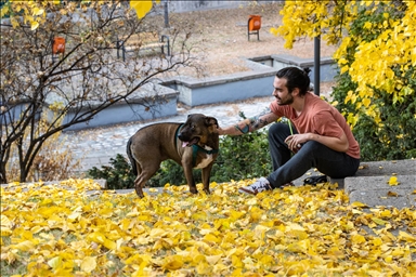 Анкара обвиена во боите на есента