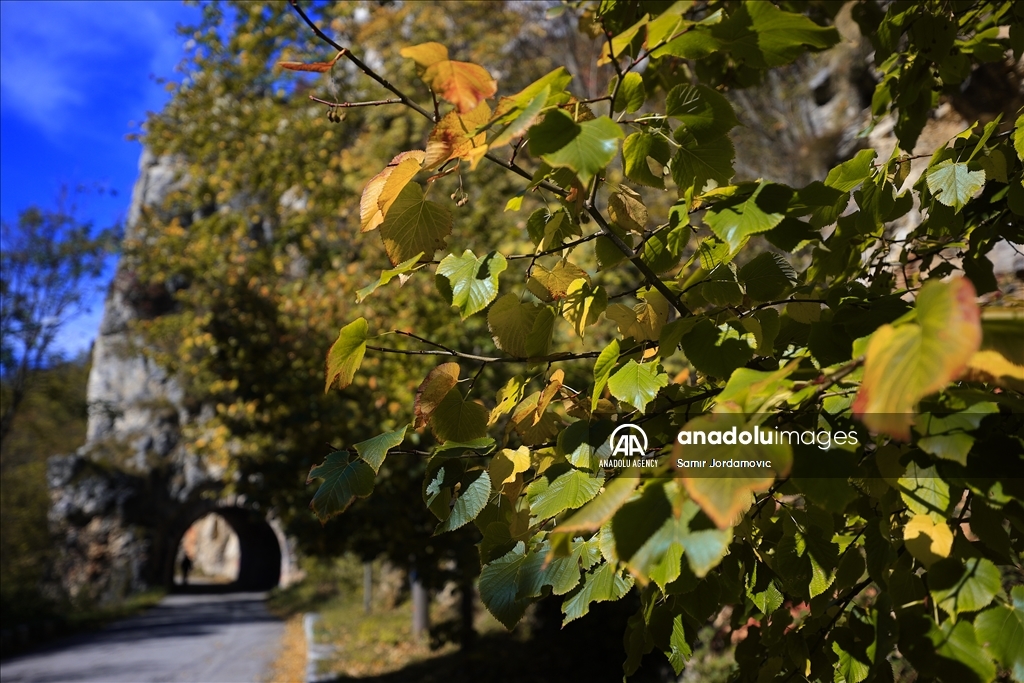 Sarajevo u jesenjem ruhu: Parkovi i ulice u zlatnožutoj boji 