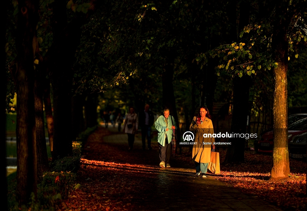 Sarajevo u jesenjem ruhu: Parkovi i ulice u zlatnožutoj boji 