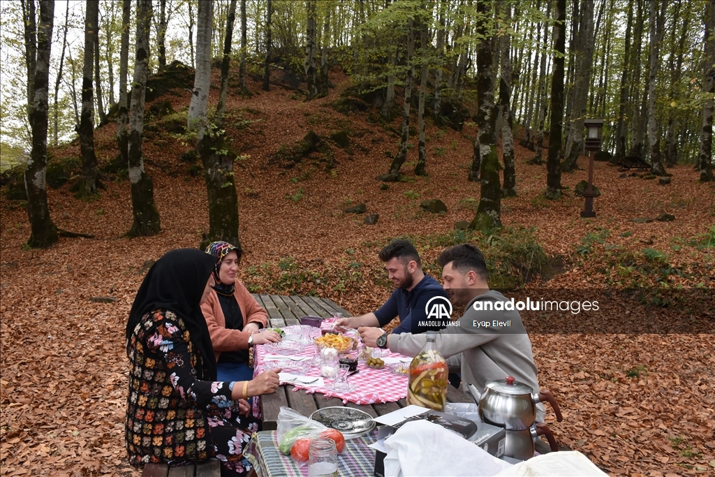 Doğa turizminin öne çıkan mekanlarından Ulugöl'ü 300 bin kişi gezdi