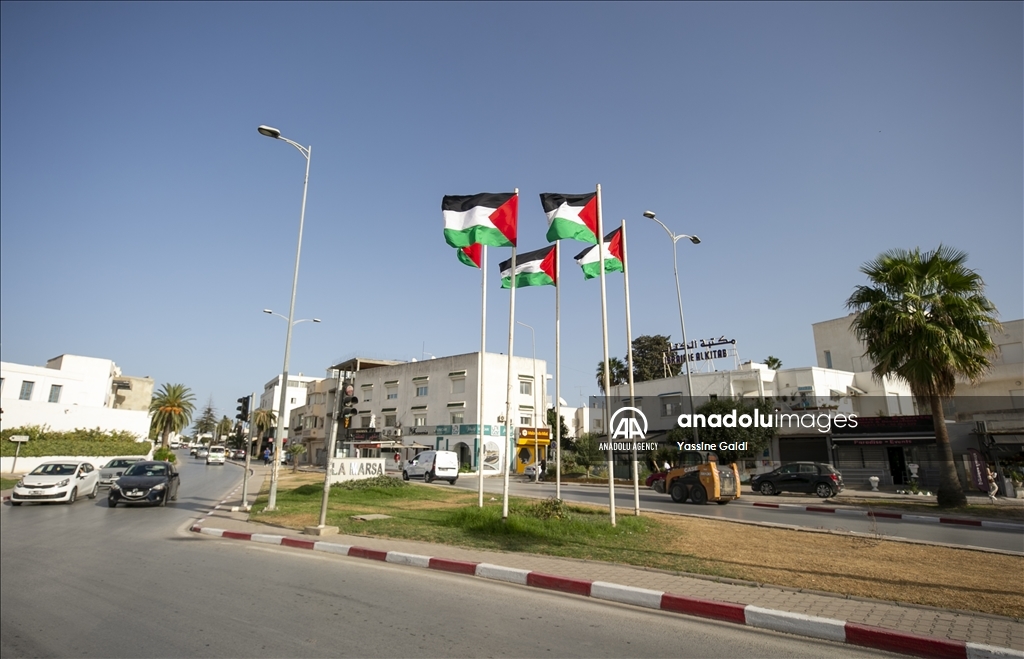العلم الفلسطيني.. راية للفخر ترفرف في أنحاء تونس
