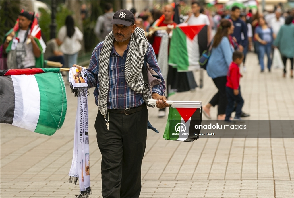 العلم الفلسطيني.. راية للفخر ترفرف في أنحاء تونس