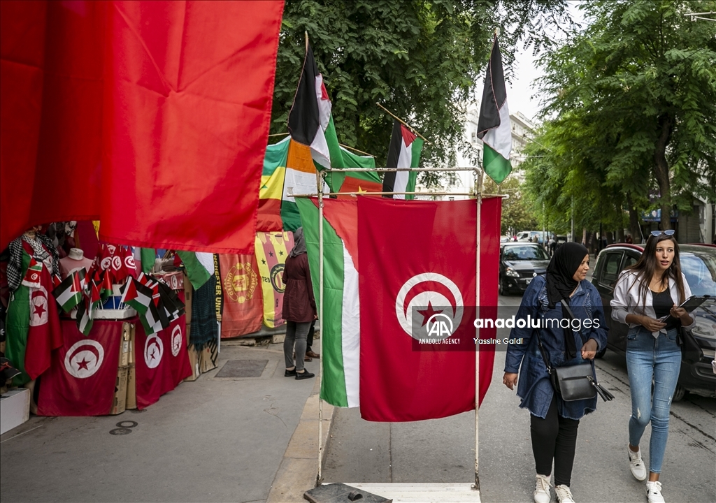 العلم الفلسطيني.. راية للفخر ترفرف في أنحاء تونس