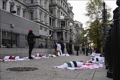 В Вашингтоне прошла акция в поддержку Палестины
