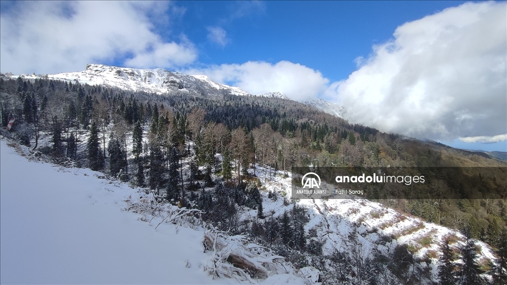 Karadeniz'in yüksek kesimlerine kar yağdı