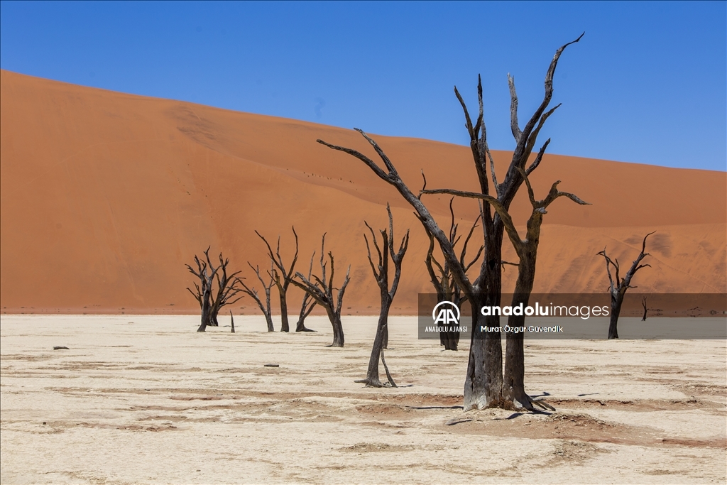 Dünyanın en yaşlı çölüne yolculuk: Namib Çölü