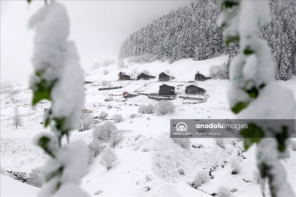 Rize'nin yüksek kesimlerine kar yağdı