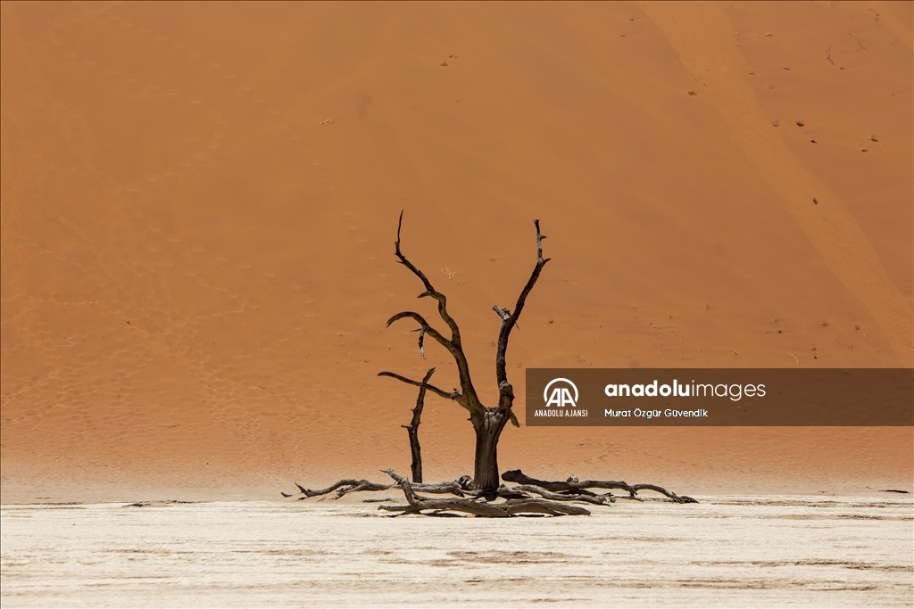 Dünyanın en yaşlı çölüne yolculuk: Namib Çölü