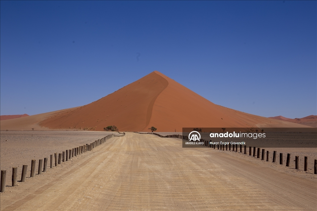 Dünyanın en yaşlı çölüne yolculuk: Namib Çölü