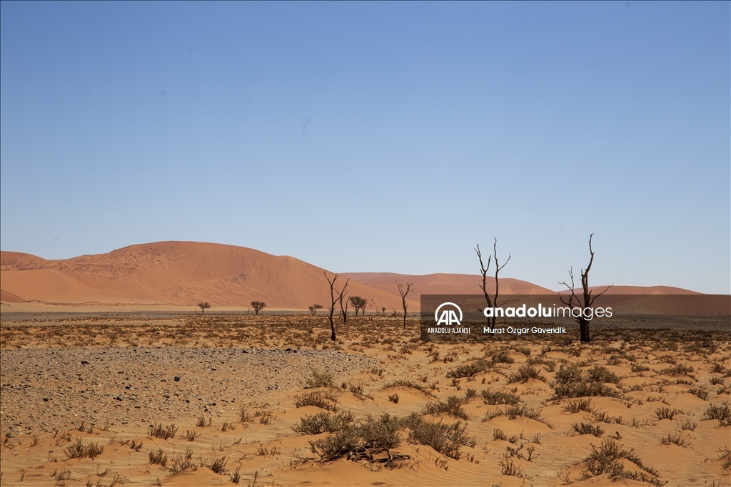 Dünyanın en yaşlı çölüne yolculuk: Namib Çölü