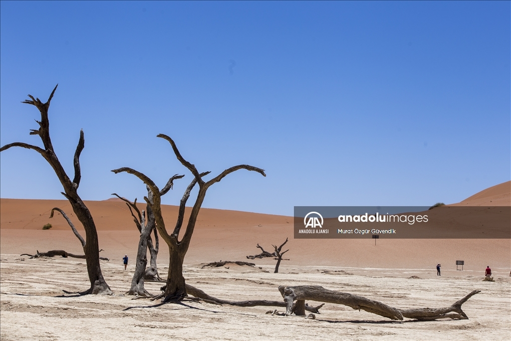 Dünyanın en yaşlı çölüne yolculuk: Namib Çölü