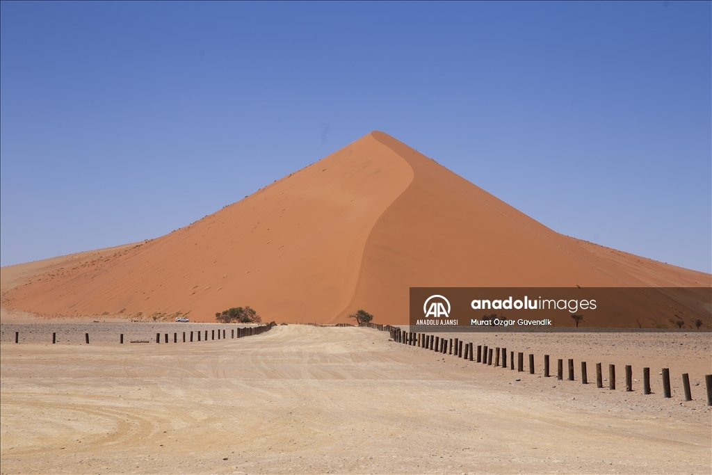 Dünyanın en yaşlı çölüne yolculuk: Namib Çölü
