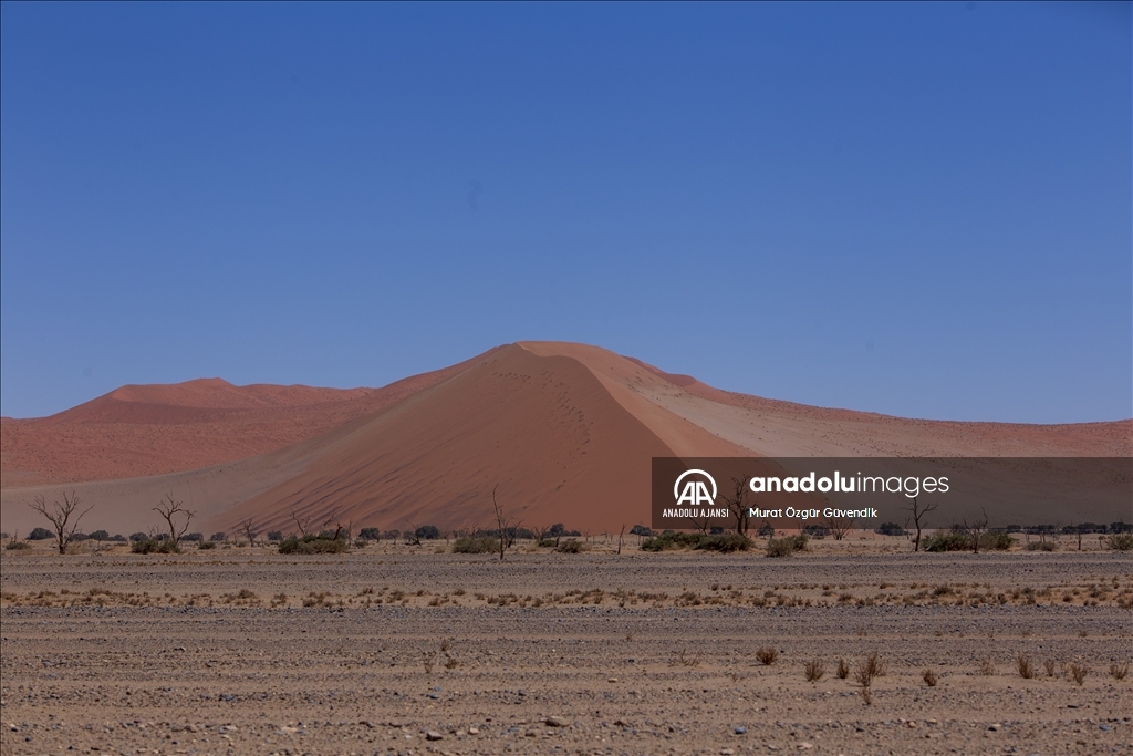 Dünyanın en yaşlı çölüne yolculuk: Namib Çölü