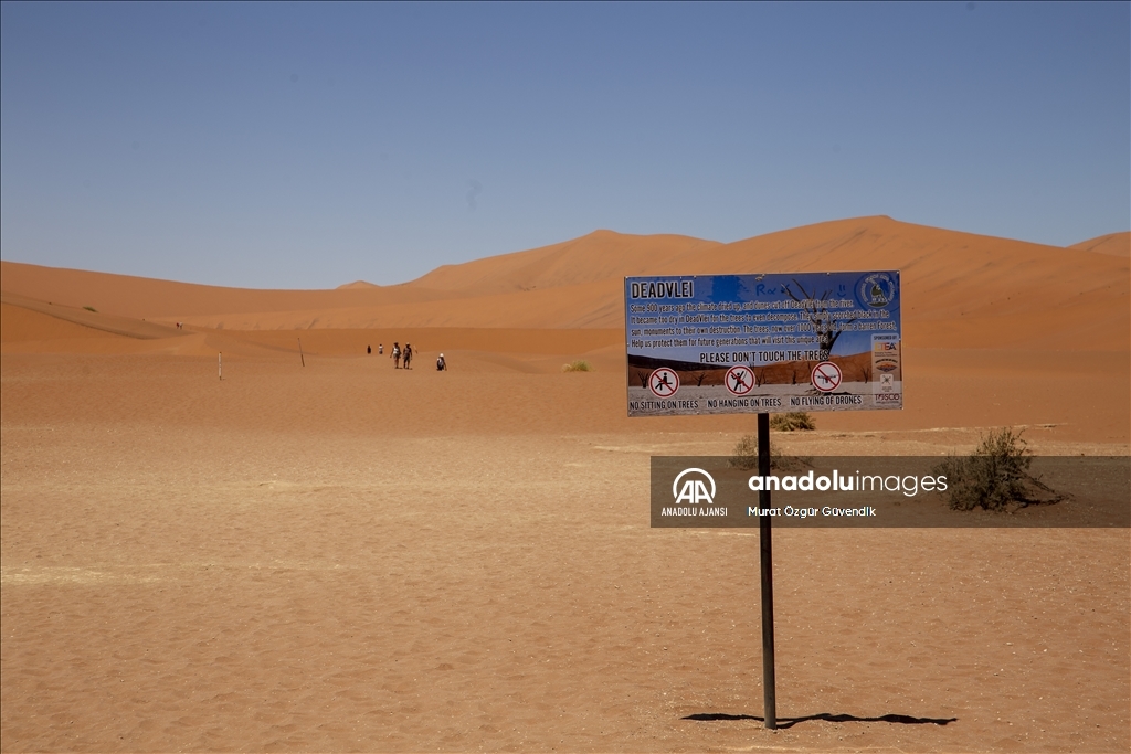 Dünyanın en yaşlı çölüne yolculuk: Namib Çölü