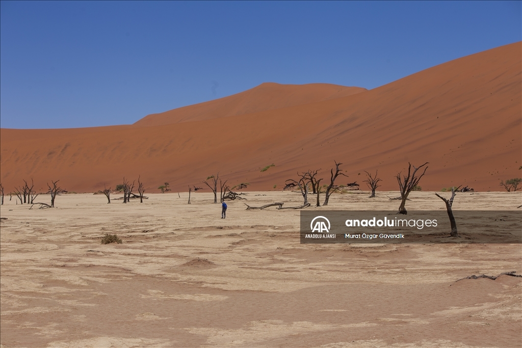 Dünyanın en yaşlı çölüne yolculuk: Namib Çölü