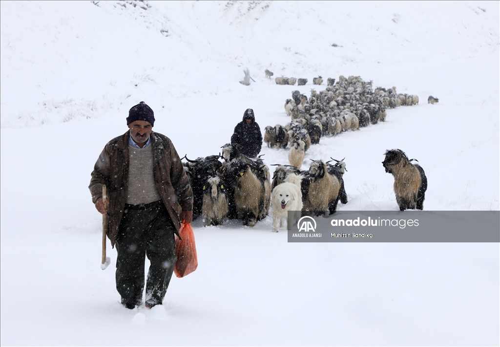 Rize'nin yüksek kesimlerine kar yağdı