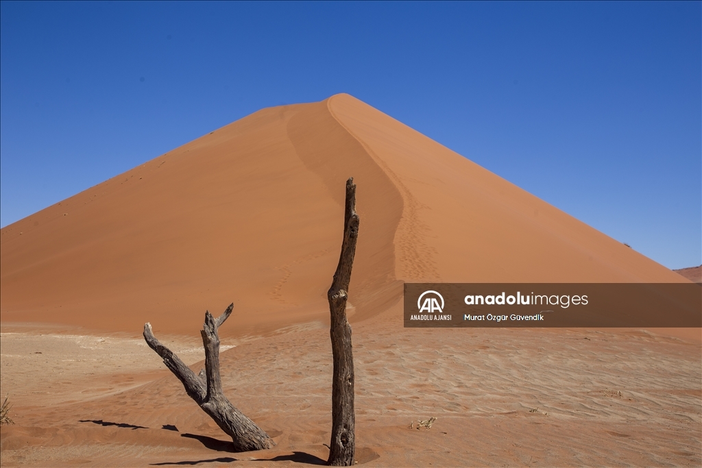 Dünyanın en yaşlı çölüne yolculuk: Namib Çölü