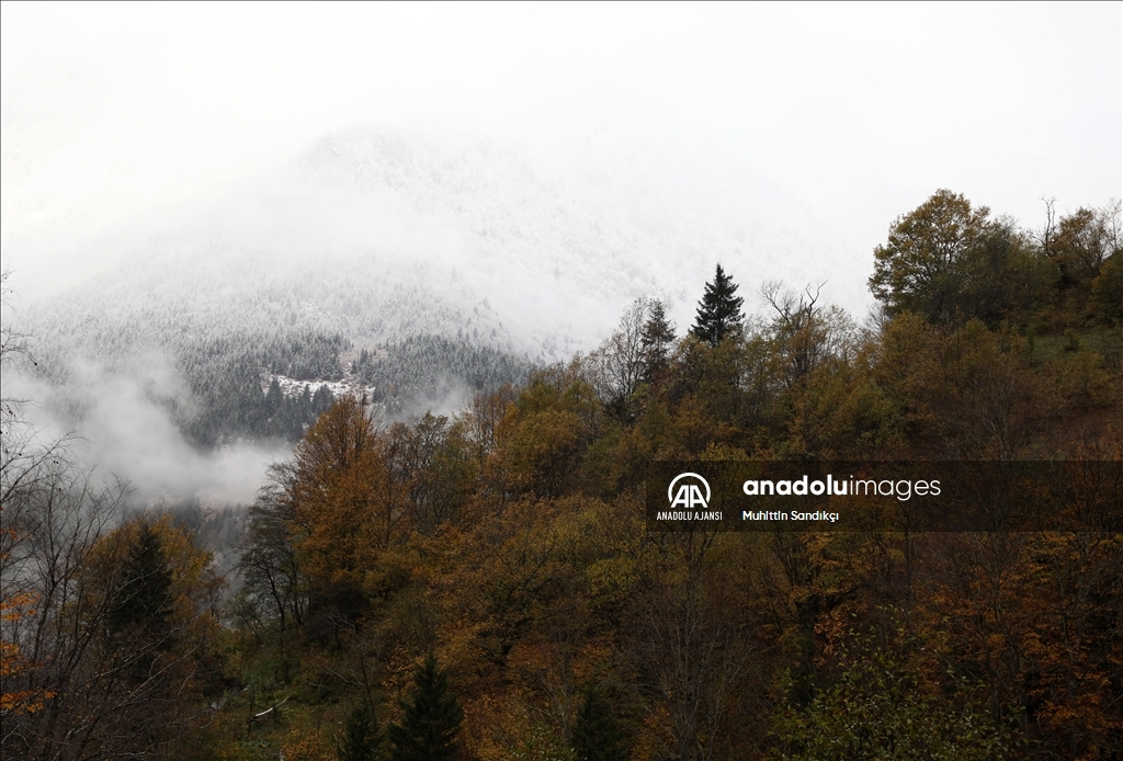 Rize'nin yüksek kesimlerine kar yağdı