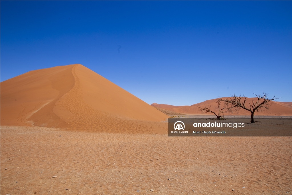 Dünyanın en yaşlı çölüne yolculuk: Namib Çölü